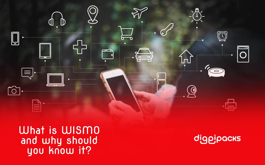 What is WISMO and why should you know it? - Diggipacks
